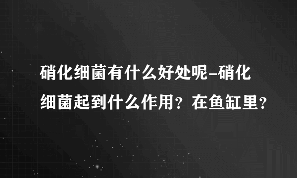 硝化细菌有什么好处呢-硝化细菌起到什么作用？在鱼缸里？