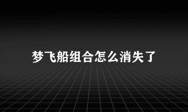 梦飞船组合怎么消失了