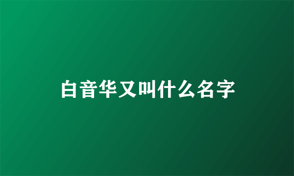 白音华又叫什么名字