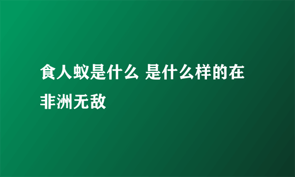 食人蚁是什么 是什么样的在非洲无敌