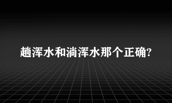 趟浑水和淌浑水那个正确?