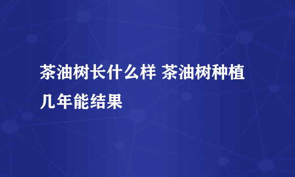 茶油树长什么样 茶油树种植几年能结果