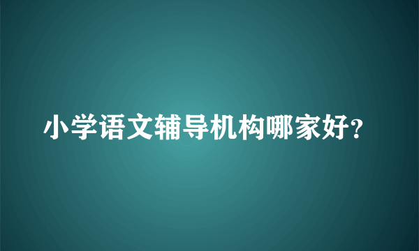 小学语文辅导机构哪家好？