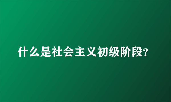 什么是社会主义初级阶段？