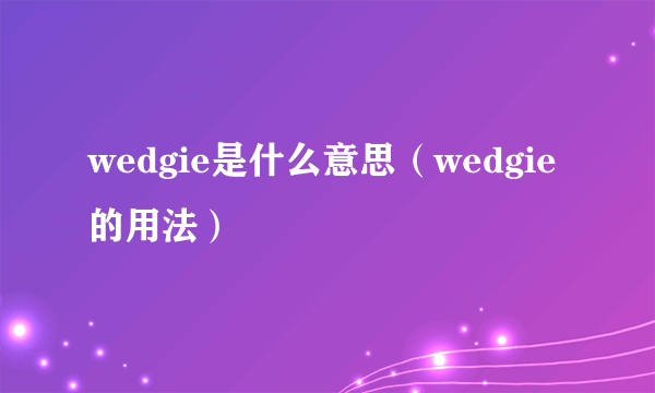 wedgie是什么意思（wedgie的用法）