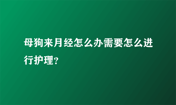 母狗来月经怎么办需要怎么进行护理？