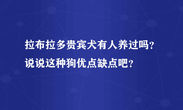 拉布拉多贵宾犬有人养过吗？说说这种狗优点缺点吧？