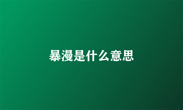 暴漫是什么意思