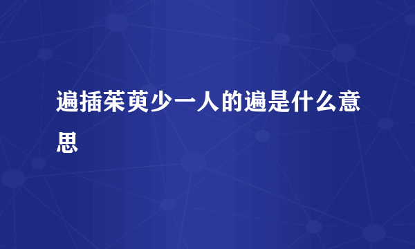 遍插茱萸少一人的遍是什么意思