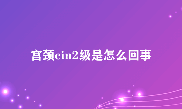 宫颈cin2级是怎么回事