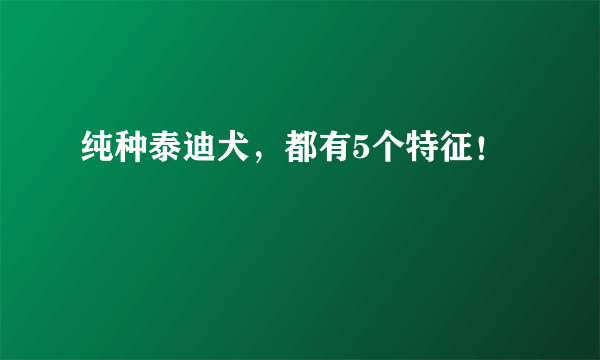 纯种泰迪犬，都有5个特征！