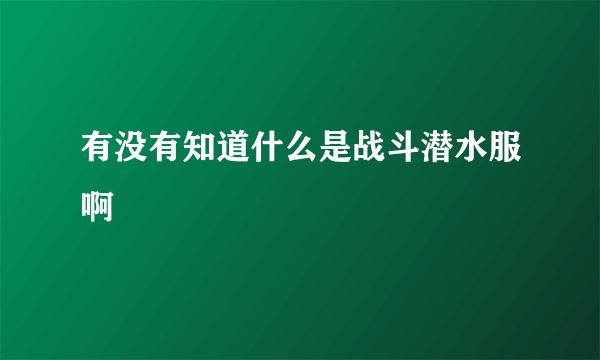 有没有知道什么是战斗潜水服啊