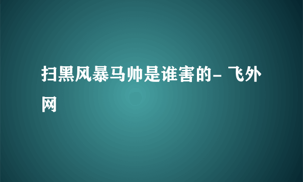 扫黑风暴马帅是谁害的- 飞外网