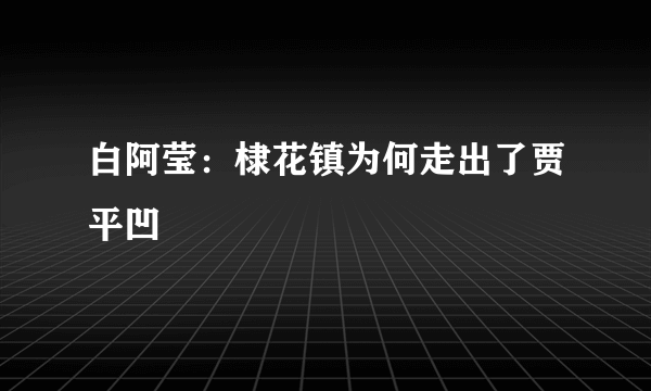 白阿莹：棣花镇为何走出了贾平凹