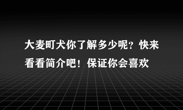 大麦町犬你了解多少呢？快来看看简介吧！保证你会喜欢