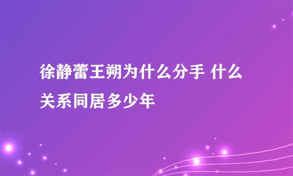 徐静蕾王朔为什么分手 什么关系同居多少年