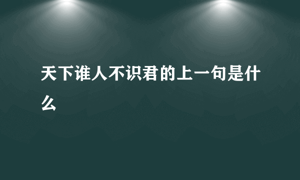 天下谁人不识君的上一句是什么