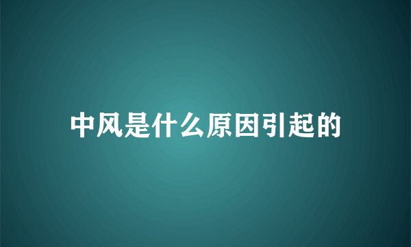 中风是什么原因引起的