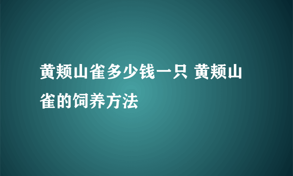 黄颊山雀多少钱一只 黄颊山雀的饲养方法