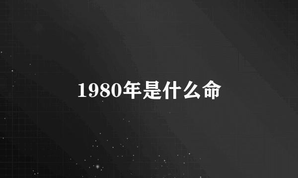 1980年是什么命