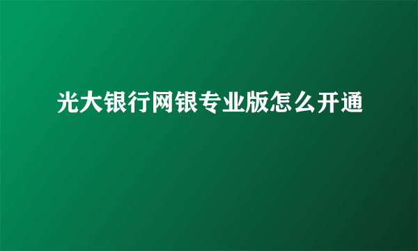 光大银行网银专业版怎么开通