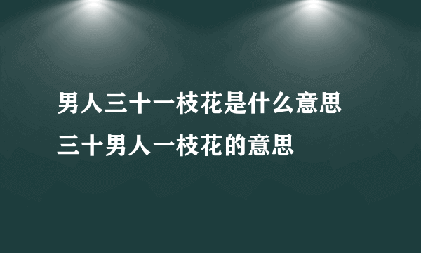 男人三十一枝花是什么意思 三十男人一枝花的意思