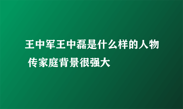 王中军王中磊是什么样的人物 传家庭背景很强大