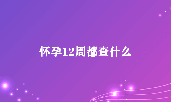 怀孕12周都查什么