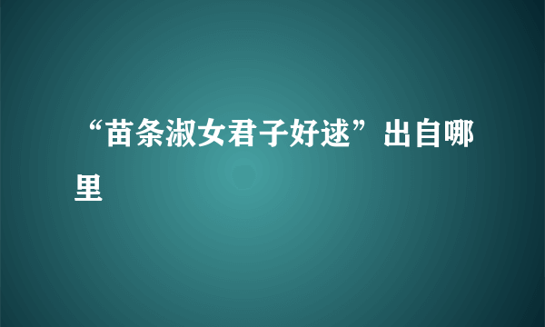 “苗条淑女君子好逑”出自哪里