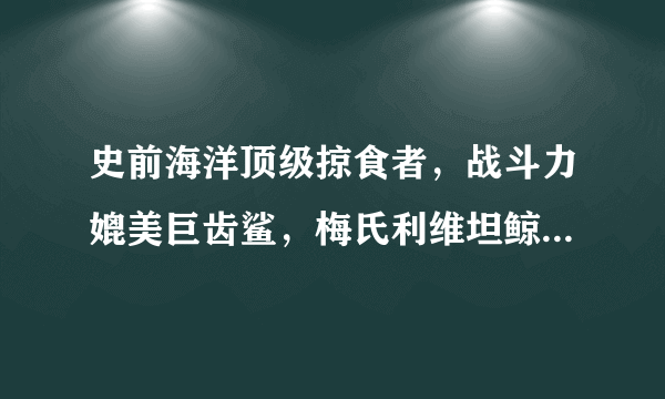 史前海洋顶级掠食者，战斗力媲美巨齿鲨，梅氏利维坦鲸你认识吗？