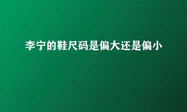 李宁的鞋尺码是偏大还是偏小