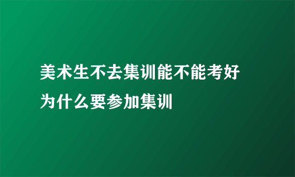 美术生不去集训能不能考好 为什么要参加集训