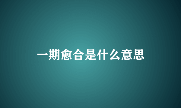 一期愈合是什么意思