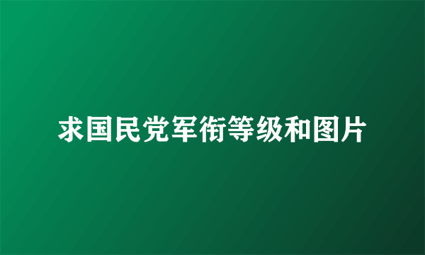 求国民党军衔等级和图片