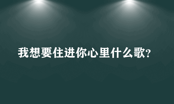 我想要住进你心里什么歌？