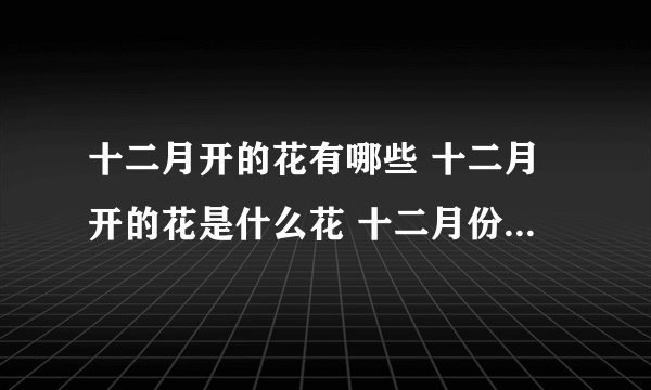 十二月开的花有哪些 十二月开的花是什么花 十二月份有什么花开