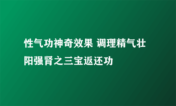 性气功神奇效果 调理精气壮阳强肾之三宝返还功