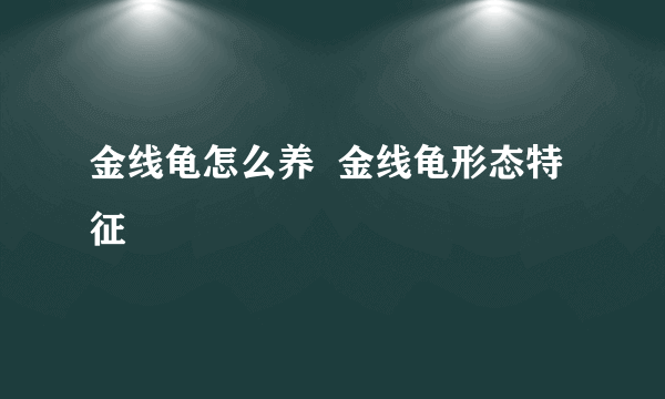 金线龟怎么养  金线龟形态特征