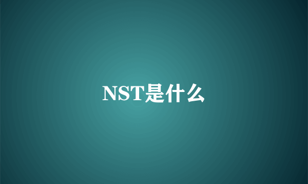 NST是什么
