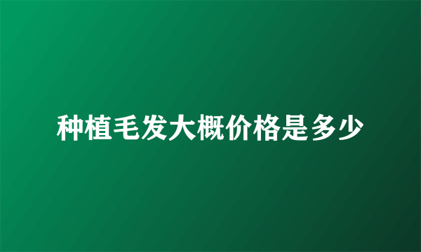 种植毛发大概价格是多少