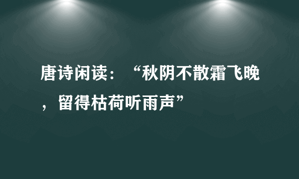 唐诗闲读：“秋阴不散霜飞晚，留得枯荷听雨声”