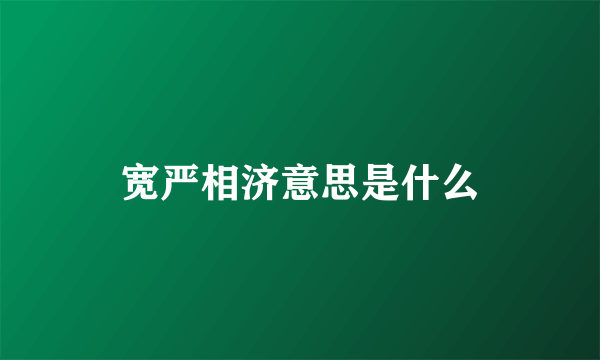 宽严相济意思是什么