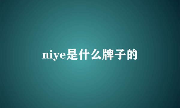 niye是什么牌子的