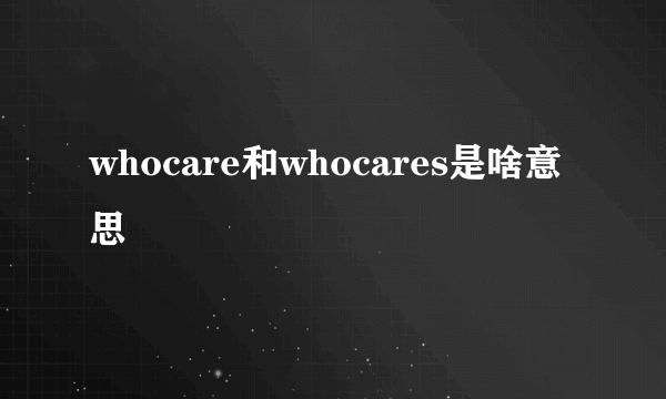 whocare和whocares是啥意思