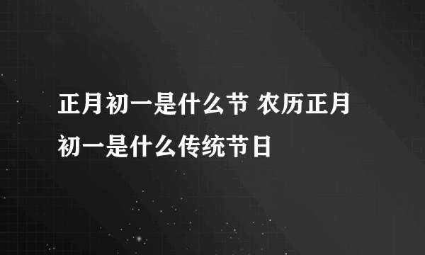 正月初一是什么节 农历正月初一是什么传统节日