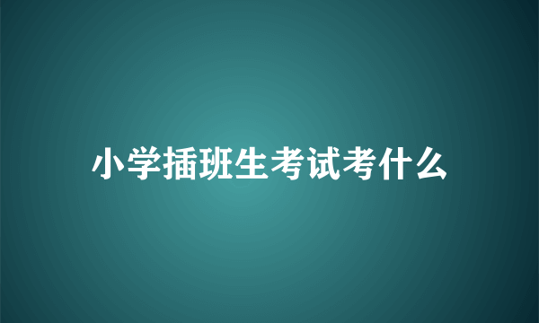 小学插班生考试考什么