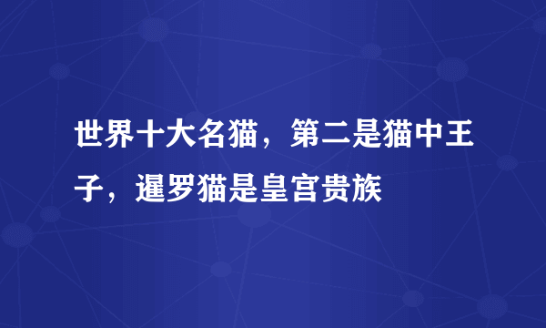 世界十大名猫，第二是猫中王子，暹罗猫是皇宫贵族