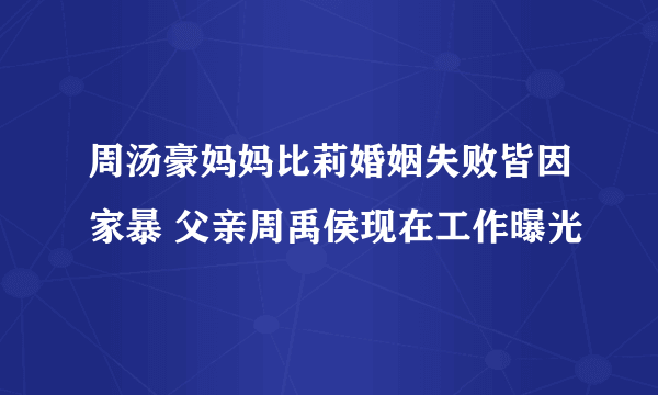 周汤豪妈妈比莉婚姻失败皆因家暴 父亲周禹侯现在工作曝光