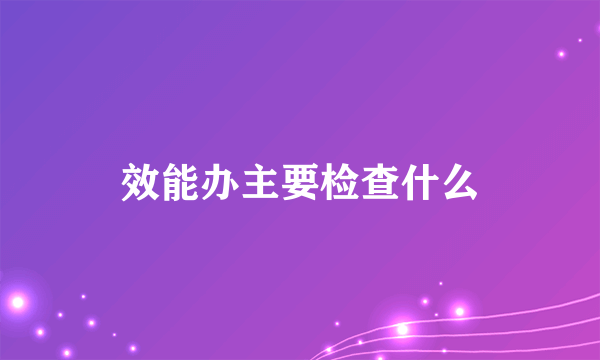 效能办主要检查什么