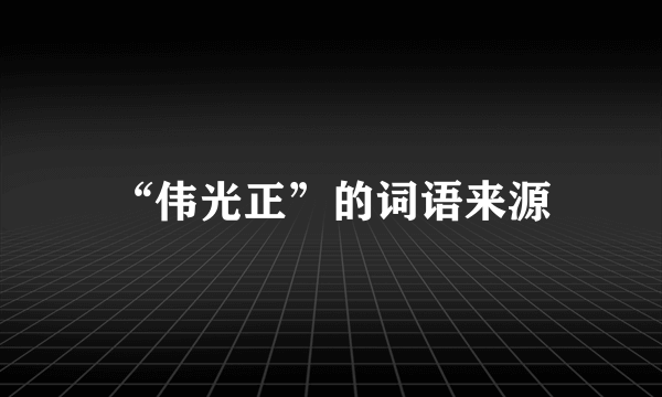 “伟光正”的词语来源